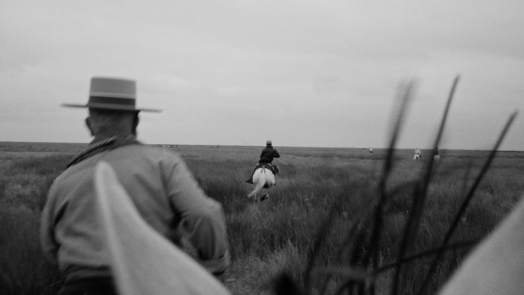 Fipadoc Biarritz : le festival international du documentaire, édition 2026