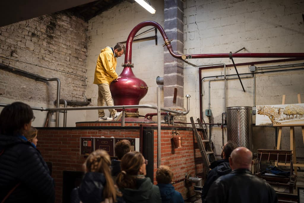 Le ban de distillation s’apprête à faire chauffer de bonheur Cognac