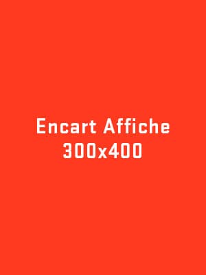Exemple : Affiche Junkpage