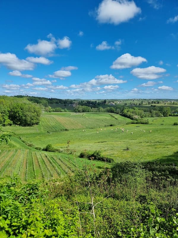 Côtes de Francs, appellation gentiment perchée