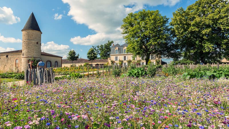 Chateau et Cercle Guiraud à Sauternes, l’élégance à maturité